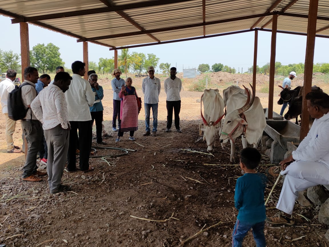 सुभाष पाळेकर गो नैसर्गिक शेतीच्या माध्यमातून सुरू आहे गो सेवा ..